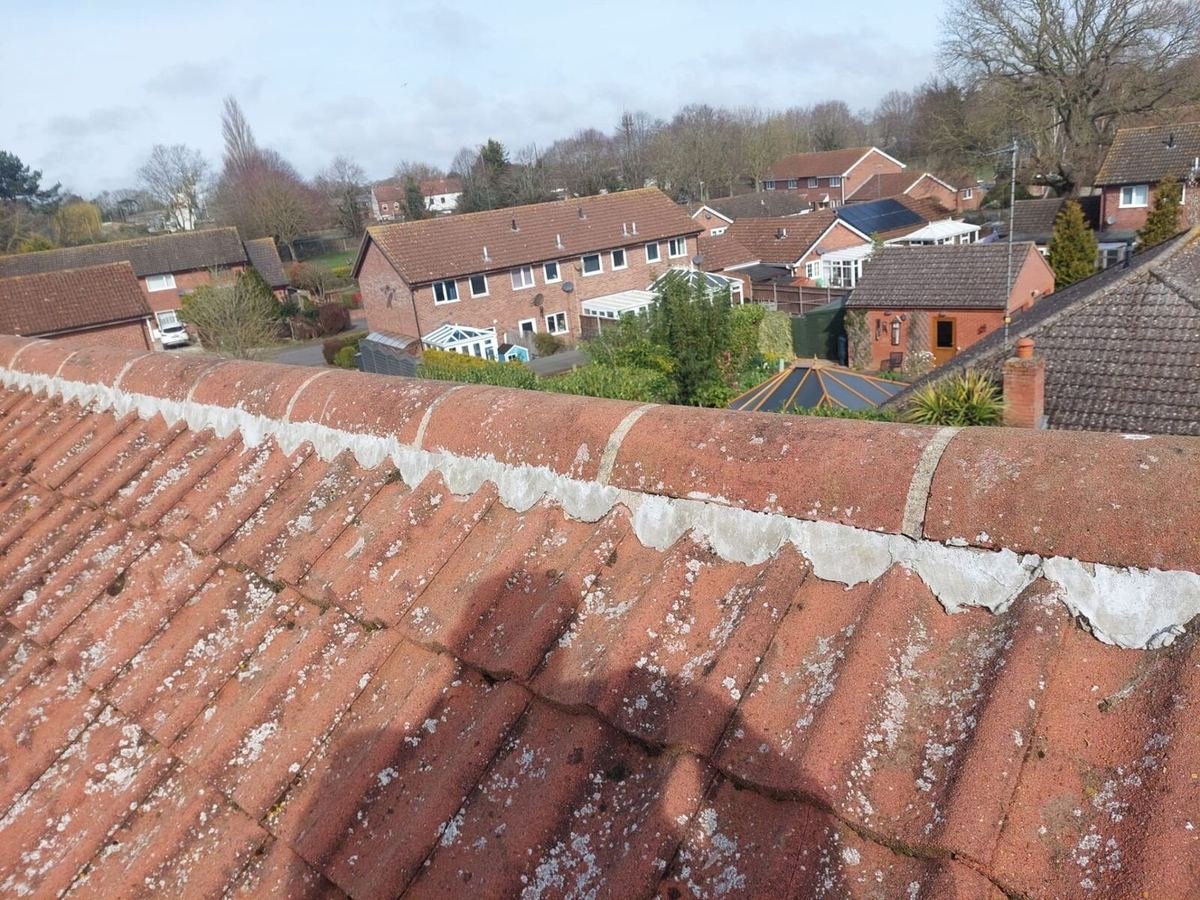 Ridge Re-Bed & Renewal before