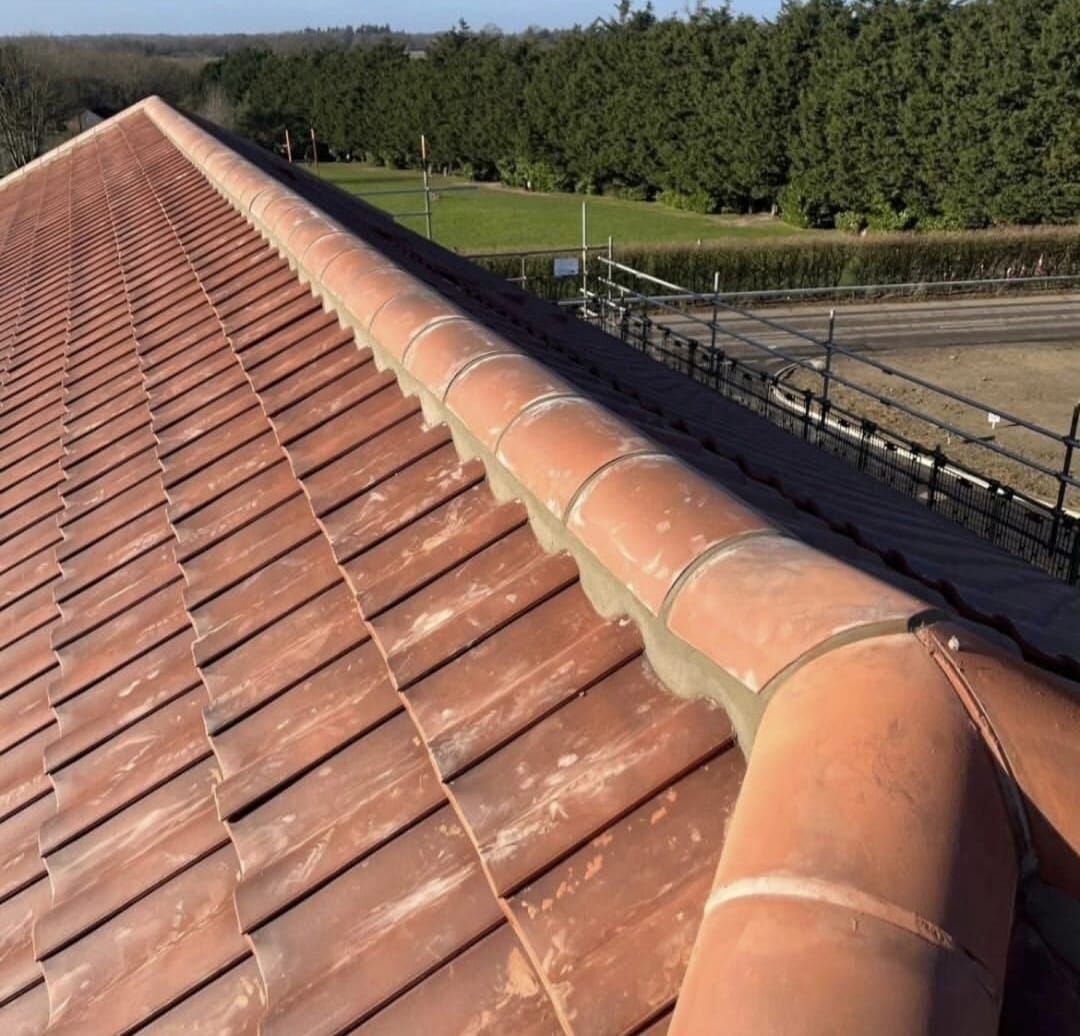 Ridge Re-Bed & Renewal after